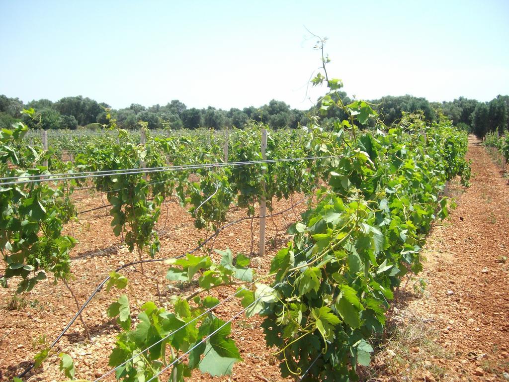 Masseria Nuova Francavilla Fontana Εξωτερικό φωτογραφία