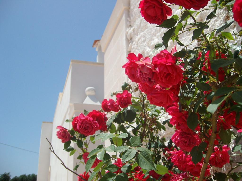 Masseria Nuova ξενώνας San Marzano di San Giuseppe Εξωτερικό φωτογραφία