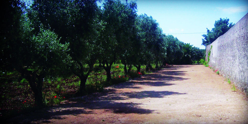 Masseria Nuova Francavilla Fontana Εξωτερικό φωτογραφία