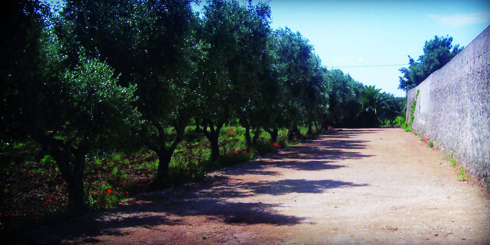 Masseria Nuova ξενώνας San Marzano di San Giuseppe Εξωτερικό φωτογραφία